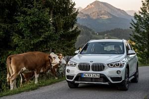 BMW X1 2016 außen vorne statisch