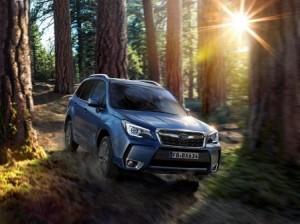 subaru-forester-2016-ausen-vorne-dynamisch-wald