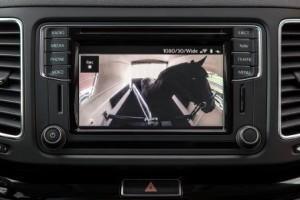 vw_sharan_2016_navi_pferde_haenger