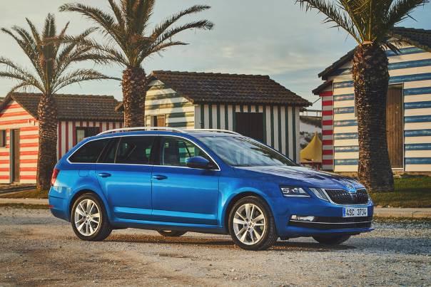 Sommer Außen-Vollgarage für Skoda Octavia Combi