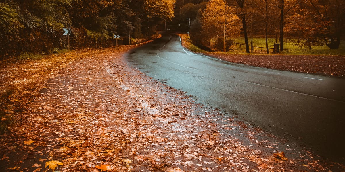 Herbst Straße Blätter