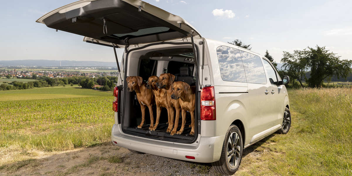Zum Welthundetag: Opel Zafira-e Life überzeugt nicht nur Zweibeiner