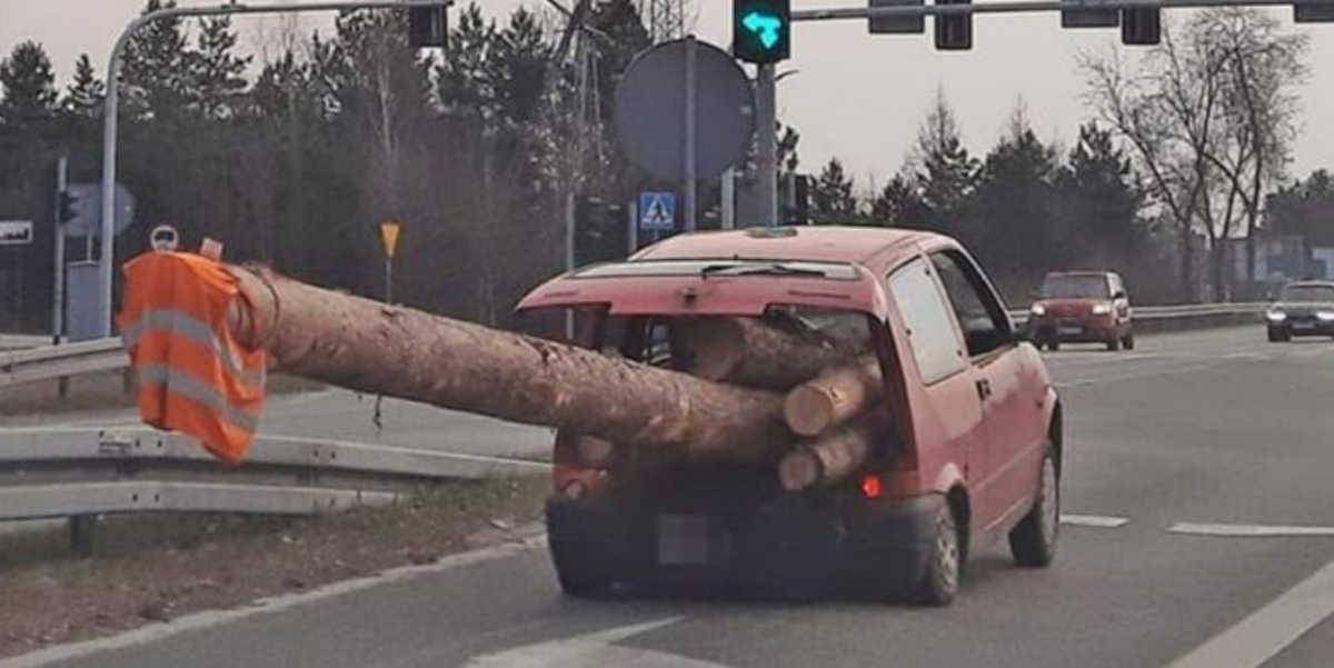 Baum an Bord: Polnische Polizei stoppt ungewöhnlichen Holz-Transporter